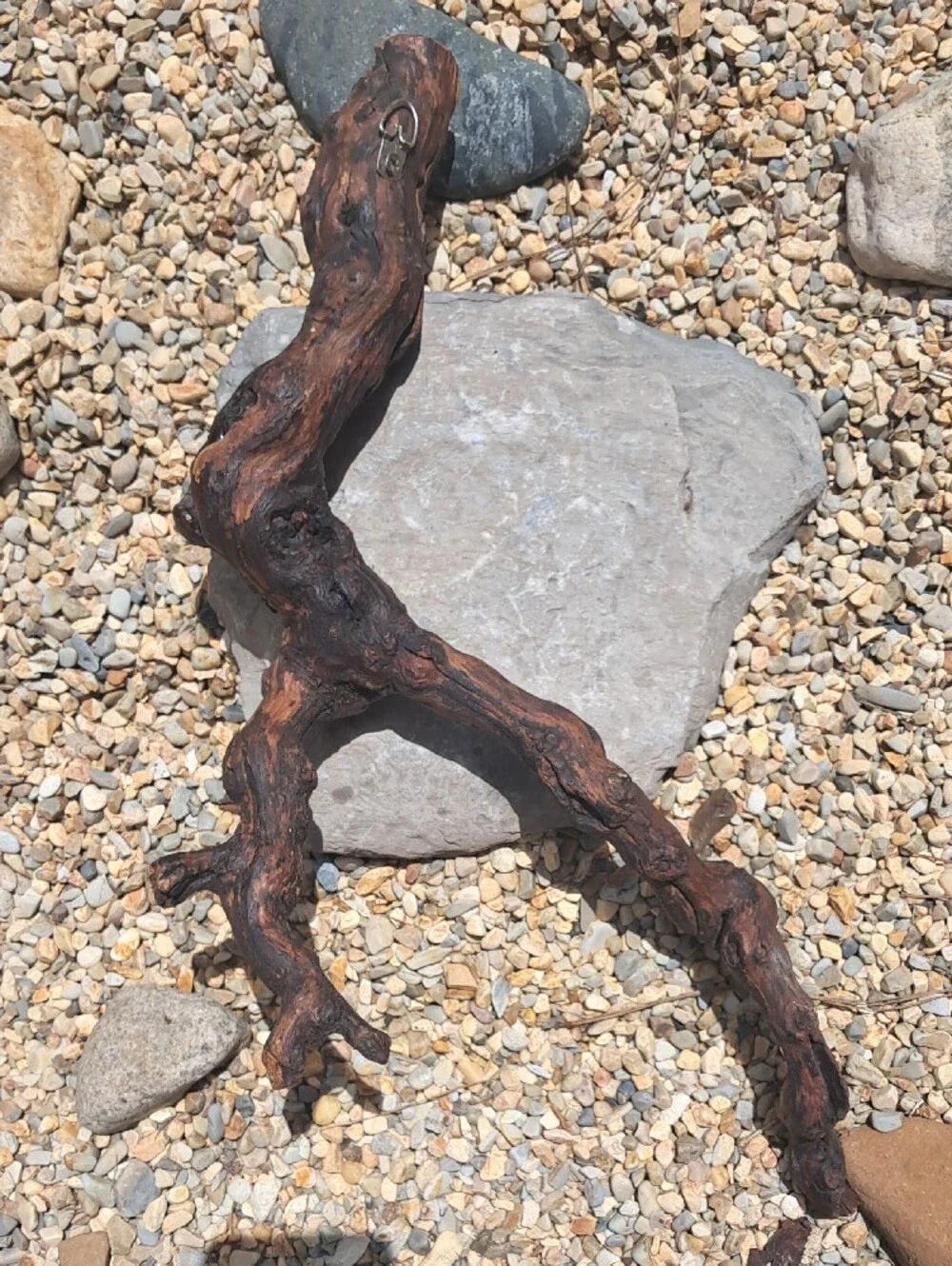 Natural Driftwood Accent Branch - Rustic Home Decor